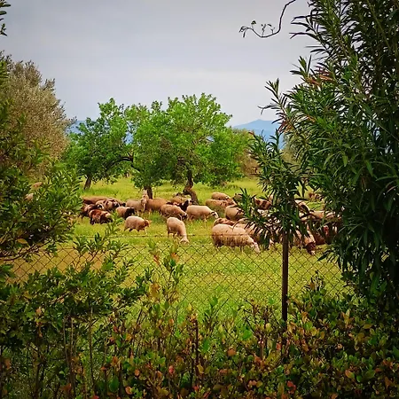 Casa de Férias With Pool Minutes From