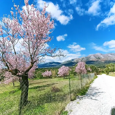 Holiday home With Pool Minutes From Amarynthos