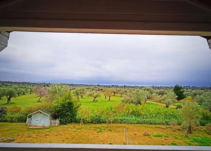 With Pool Minutes From *